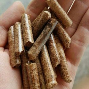 Biomass Pellet